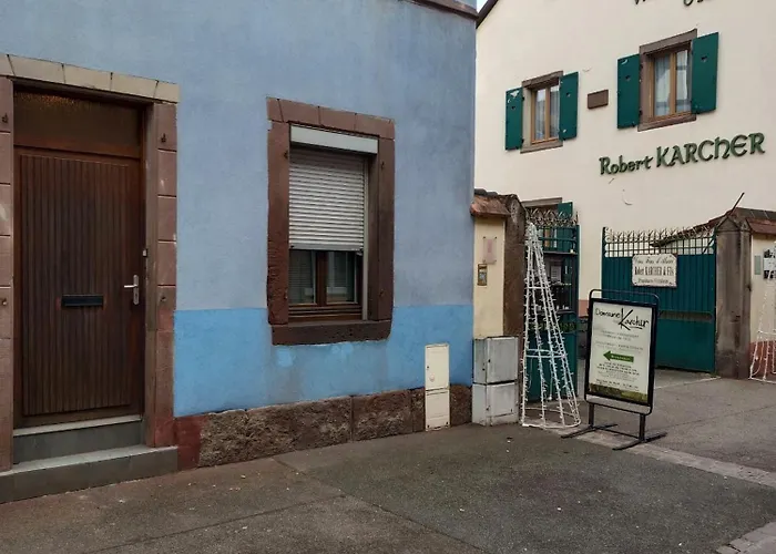 Le Nid Кольмар